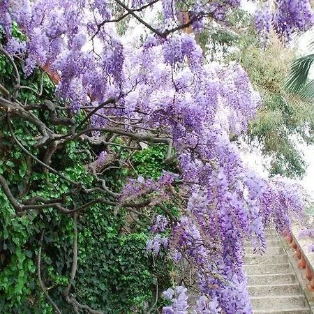 Della Pergola Relais Et Chateaux Ξενοδοχείο