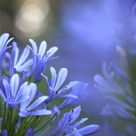 Della Pergola Relais Et Chateaux