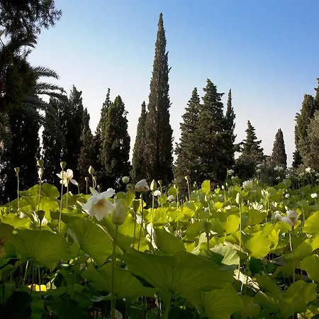 Della Pergola Relais Et Chateaux Hotel 3*