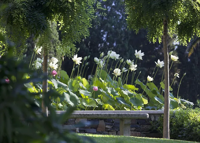 فندق Della Pergola Relais Et Chateaux